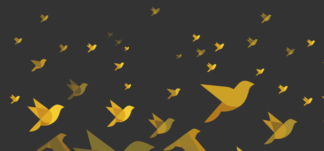 CodeCanary new design