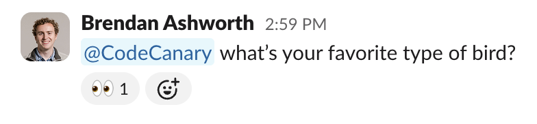 CodeCanary eyes your Slack message